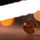 Illustration for article titled Shooting Challenge: Bokeh, Gallery 1